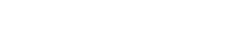 The Walt Disney Company Logo